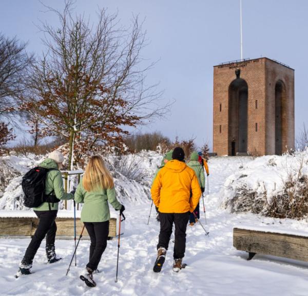 Ejer Bavnehøj, Vinter